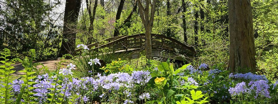 Botanical Gardens at Asheville