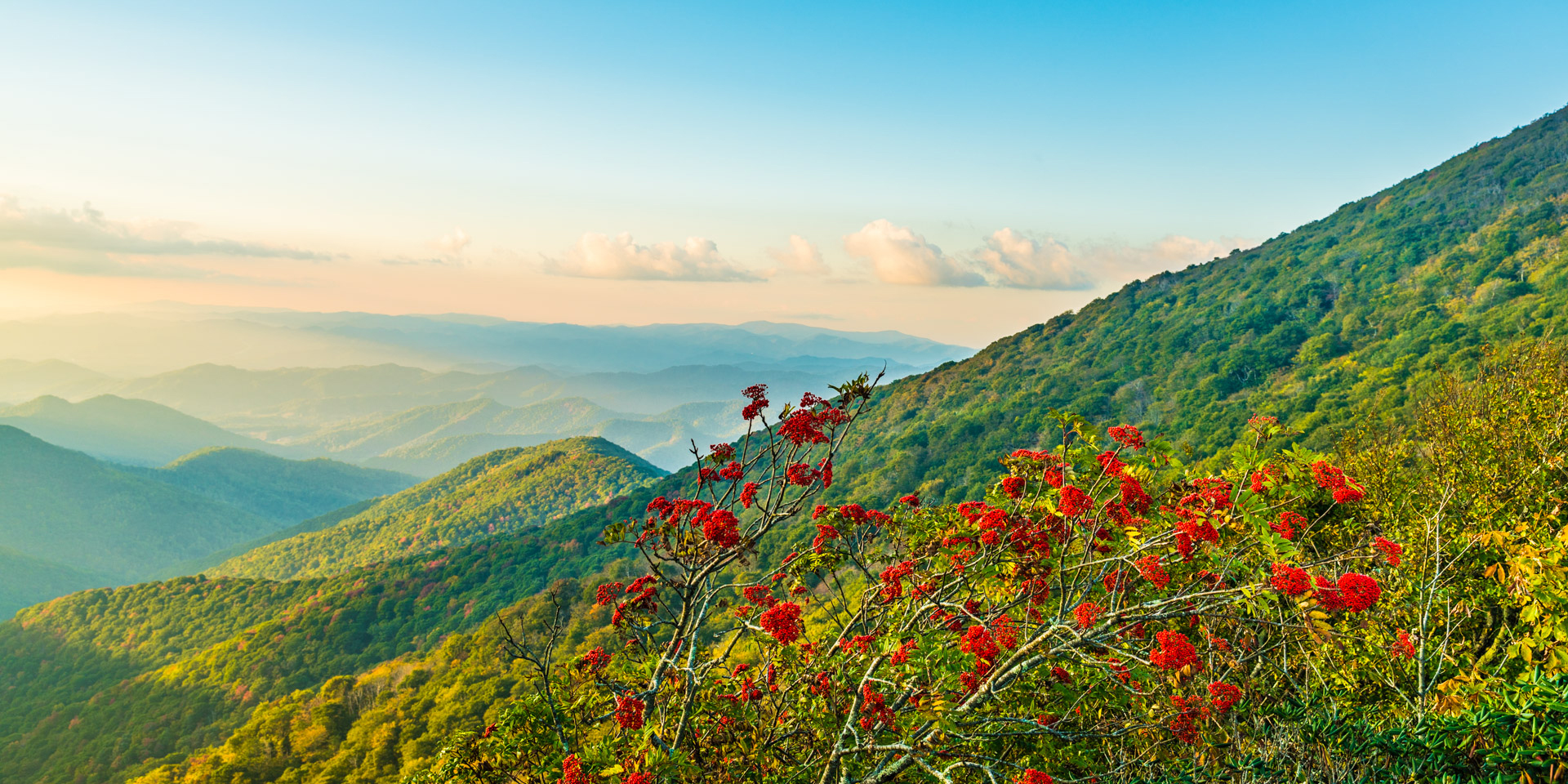 Craggy Pinnacle