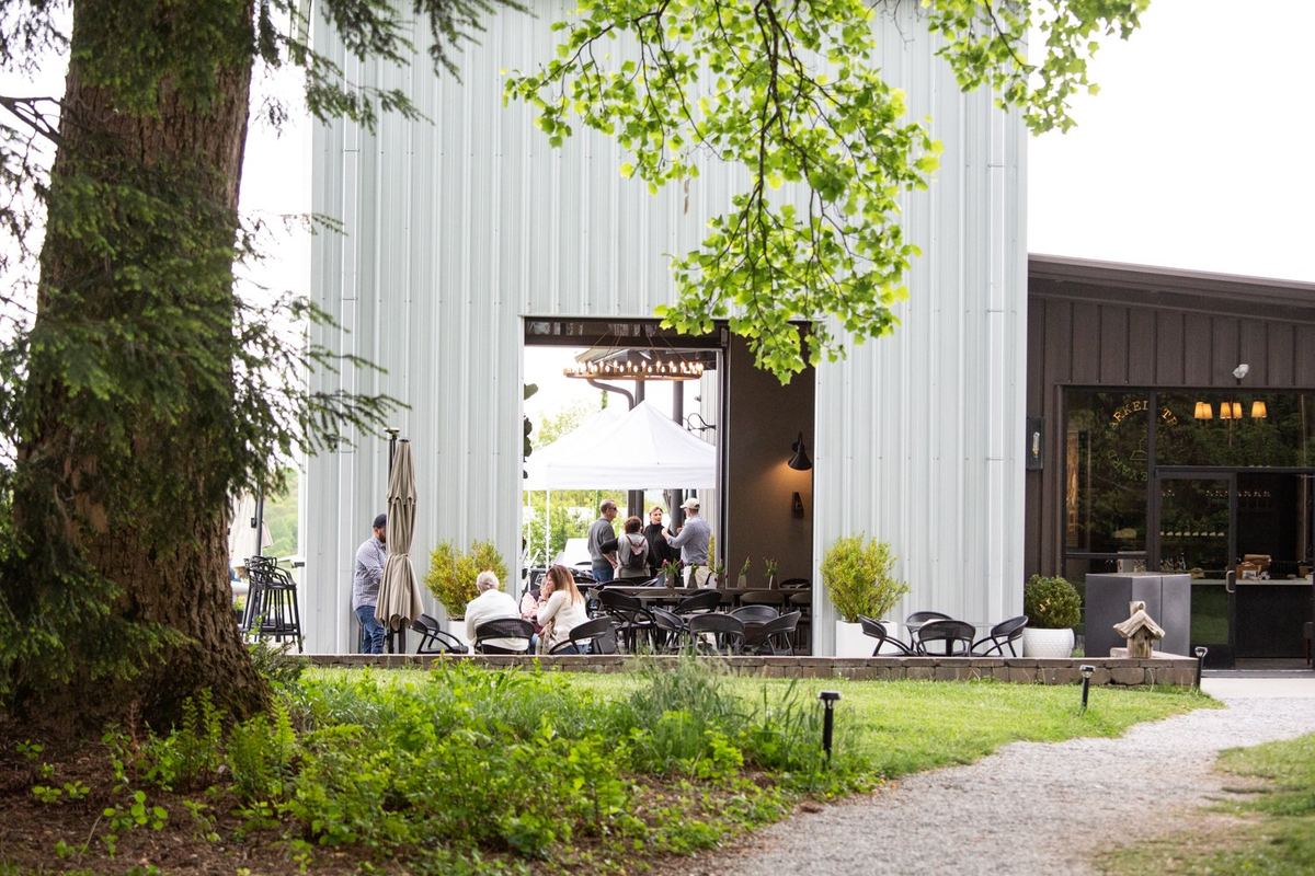 Marked Tree Vineyard