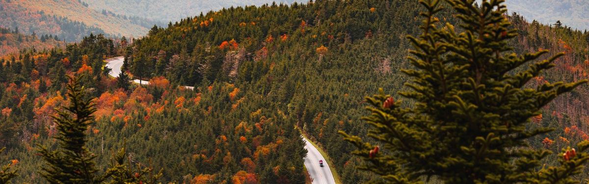 Mount Mitchell State Park