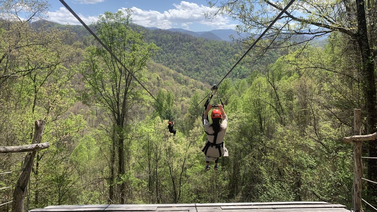 Navitat Canopy Adventures