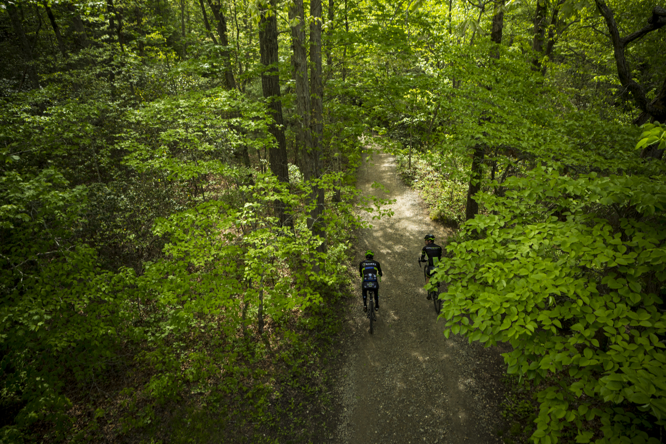 North Carolina Arboretum