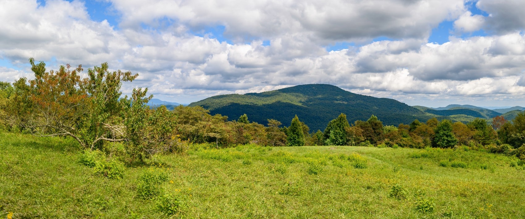 Strawberry Gap Trailhead