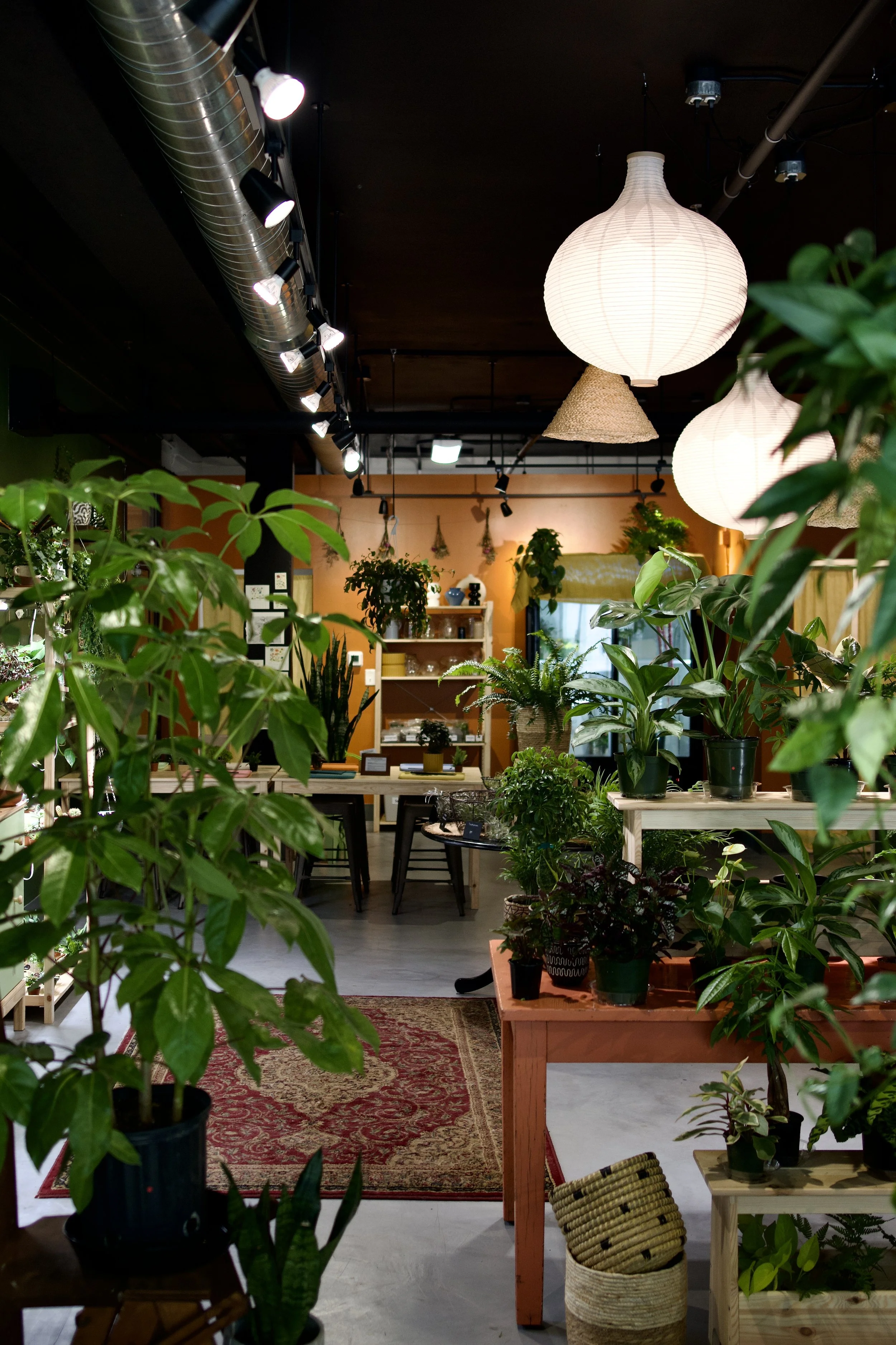The Green Room Plant Shop